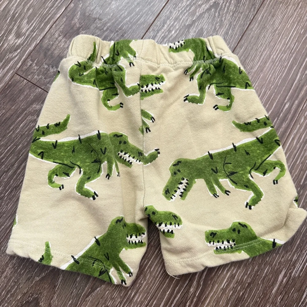 Zara Kids Set with Dinosaur Print Size 5
